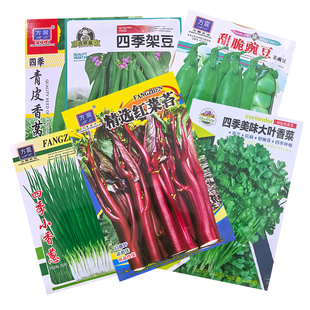蔬菜种子菜种籽原装四季播原装彩包育种香菜小葱白菜菠菜大全