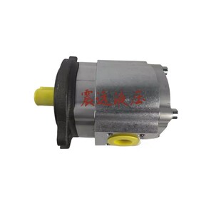 025RA04 1X注塑机伺服油泵EIPS2 016nRA04 齿轮泵EIPS2