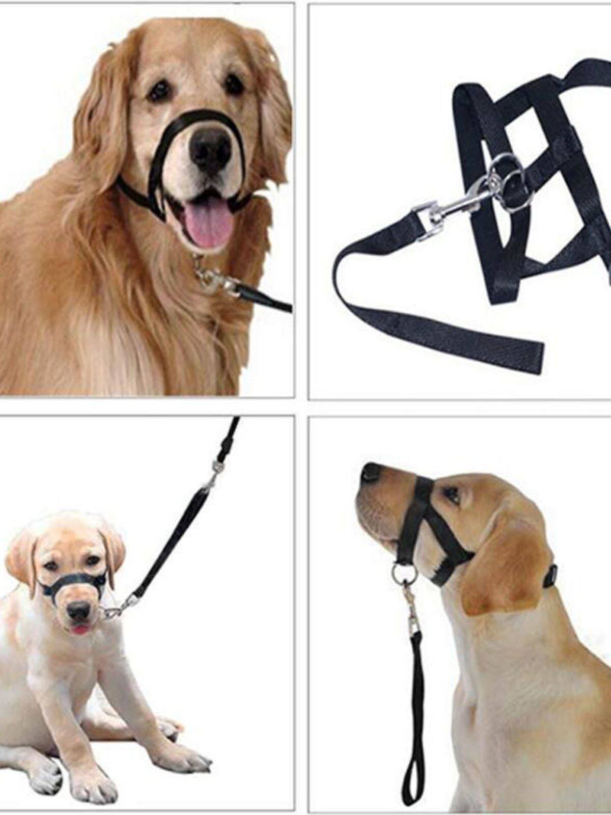 新款宠物狗嘴绳嘴套狗嘴鼻环训犬防爆冲拉狗牵引绳日常遛狗用品