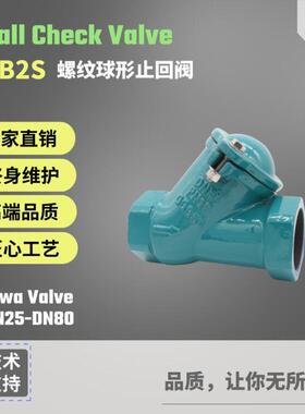 球型止回阀球铁螺纹浮球阀污水逆止阀球墨铸铁汇华CB2