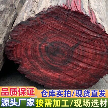 马加达斯大叶紫檀原木 实木木料家具工艺品台球杆料 大叶紫檀红木