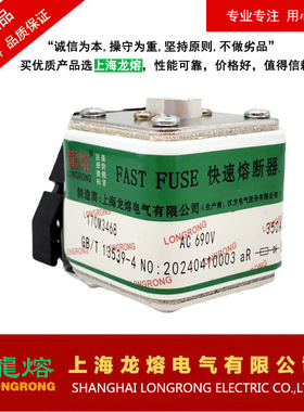 170M3466 AC690V 250A 快速熔断器，