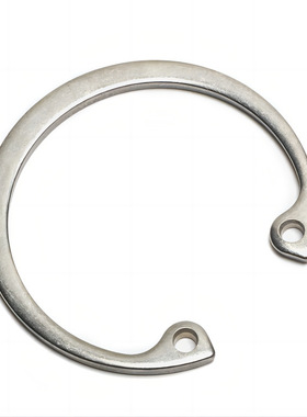 赛默飞Dionex萃取池卡环O型圈 萃取池盖固定环056778