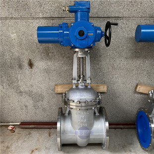 16P 法兰闸阀Z941W DN250 304不锈钢材质 全开常压电动闸阀