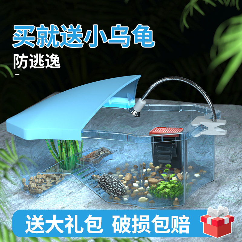 乌龟缸 送2只乌龟活物巴西龟中华草龟活体学生儿童宠物龟饲养缸,宠物/宠物食品及用品,龟/鳖,淘宝优惠券,粉丝福利购,淘宝优惠卷