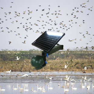 湿地鸟类多样性监测识别系统 候鸟栖息地不同鸟类声音采集系统