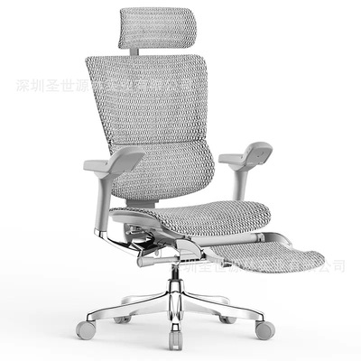 厂家直销Ergonor保友优2代电脑网椅人体工学舒适电竞办公座椅