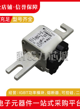 170M4262/4263/4264/4265/4266/4267/4268/4269全新熔断器现货