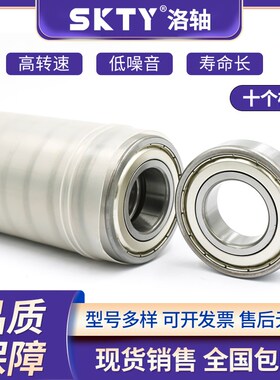 SKTY洛阳铜保轴承 61976 61980 z61984 61988 61992 61996 M