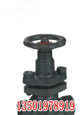 U11SU41SU41FU41FSFU41SM-16 柱塞阀 DN32 20 40X 50 100