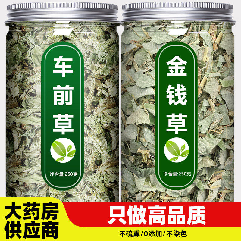 车前草金钱草中药材新鲜野生正宗干货官方旗舰店袋泡茶水喝中草药