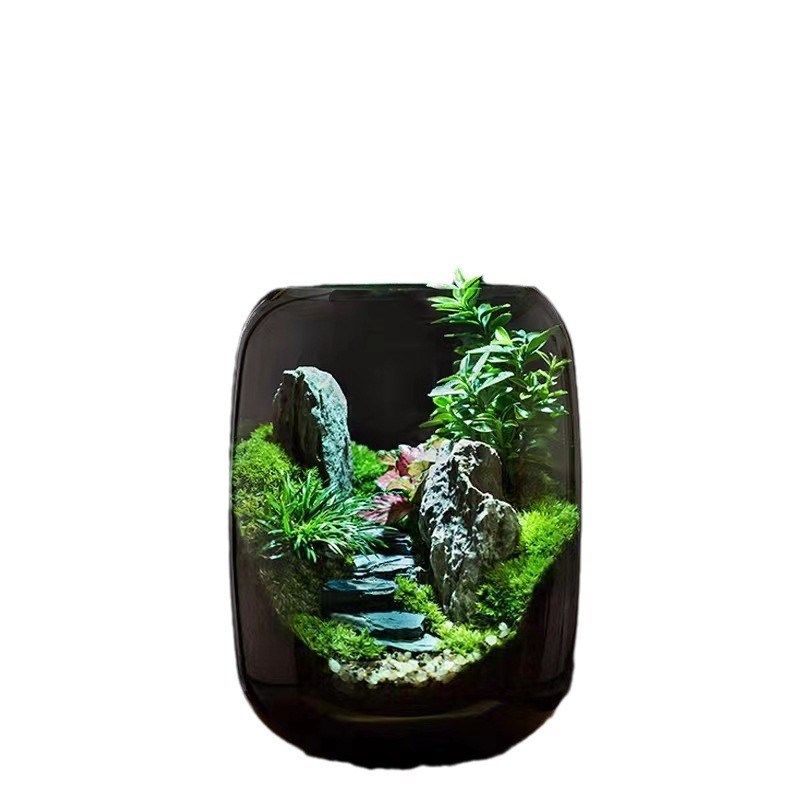创意苔藓微景观摆件生态瓶办公室D桌面生态缸绿植造景盆景直售,商业/办公家具,景观道具/景观摆件/景观装置,淘宝优惠券,粉丝福利购,淘宝优惠卷