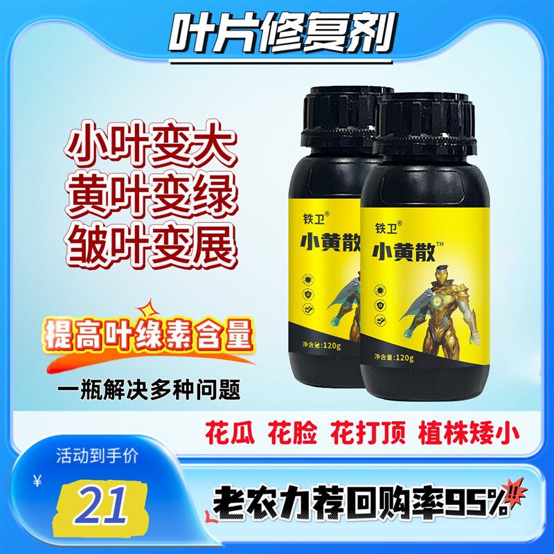 小黄散腐植酸水溶肥料助剂 防黄叶化瓜 提龙头促生长Y 提高免疫力