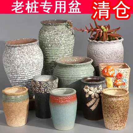 花盆清仓处理特价亏本 多肉花盆特价老桩陶瓷大号清仓肉肉植物大
