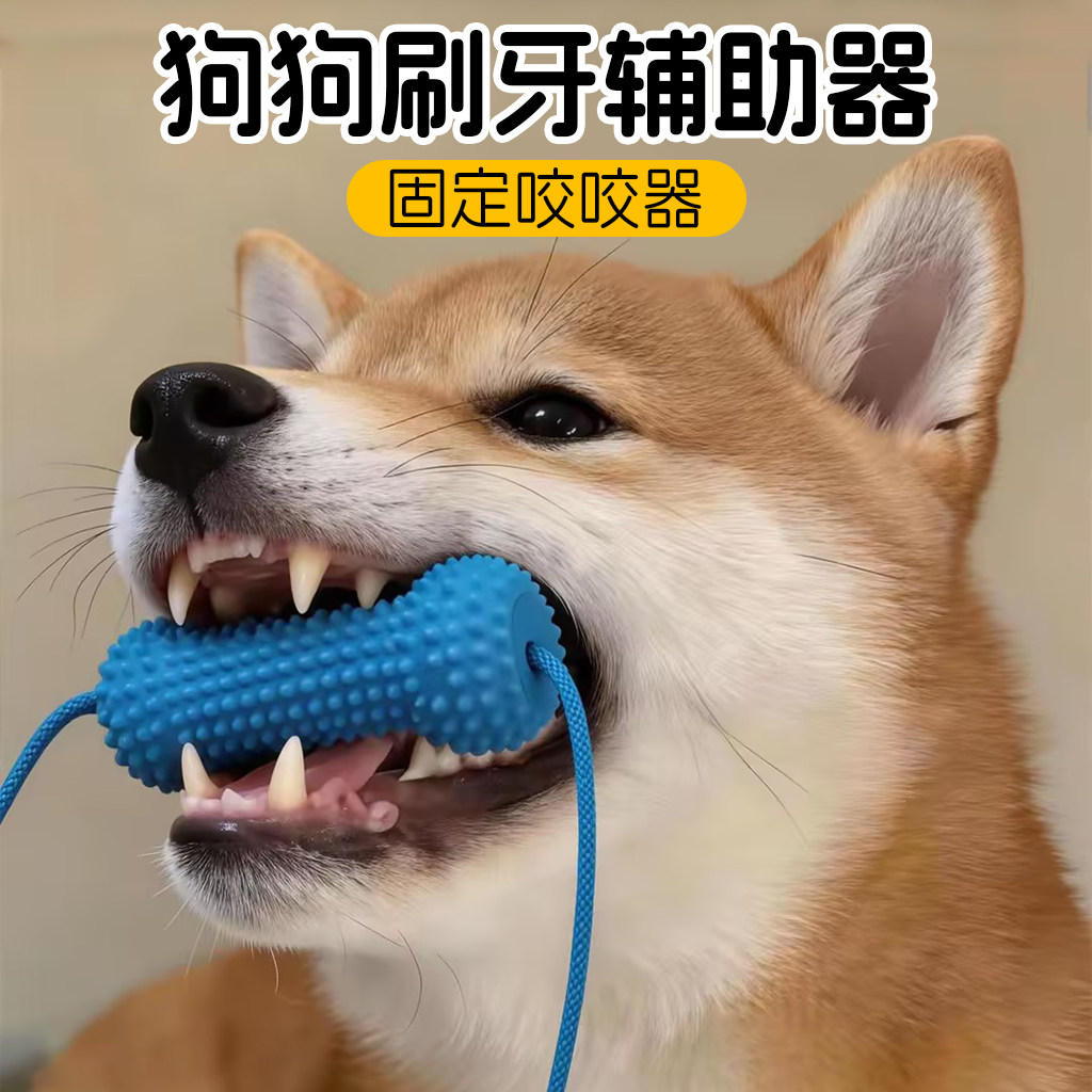 狗狗刷牙辅助神器橡胶洁齿玩具自嗨解闷磨牙棒口腔清洁牙结石牙垢