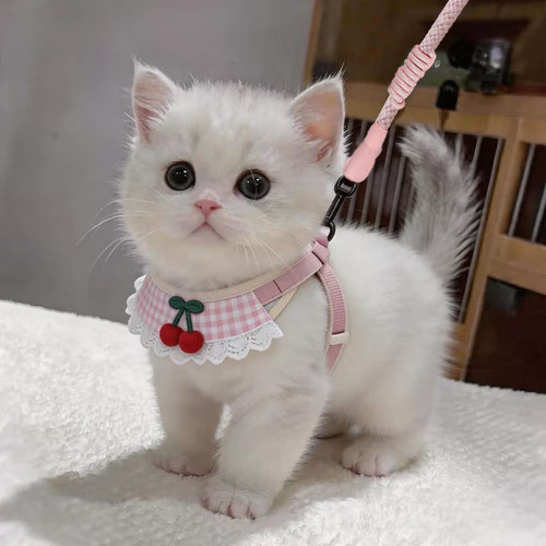 猫咪牵引绳防挣脱不勒脖遛狗狗