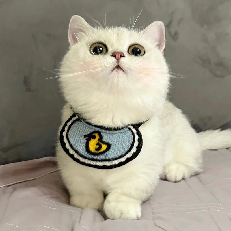 宠物可爱猫咪狗狗口水巾刺绣毛线