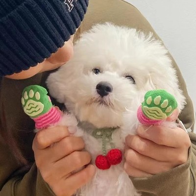 小狗狗袜子脚套防滑不掉宠物用品