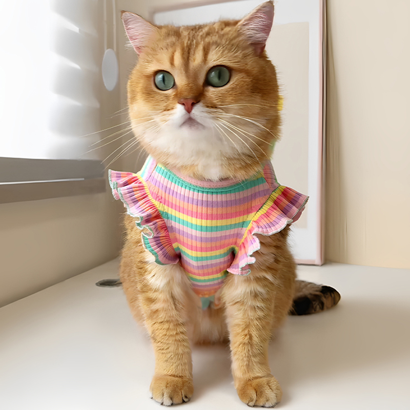 狗狗衣服春夏款背心吊带裙小型犬