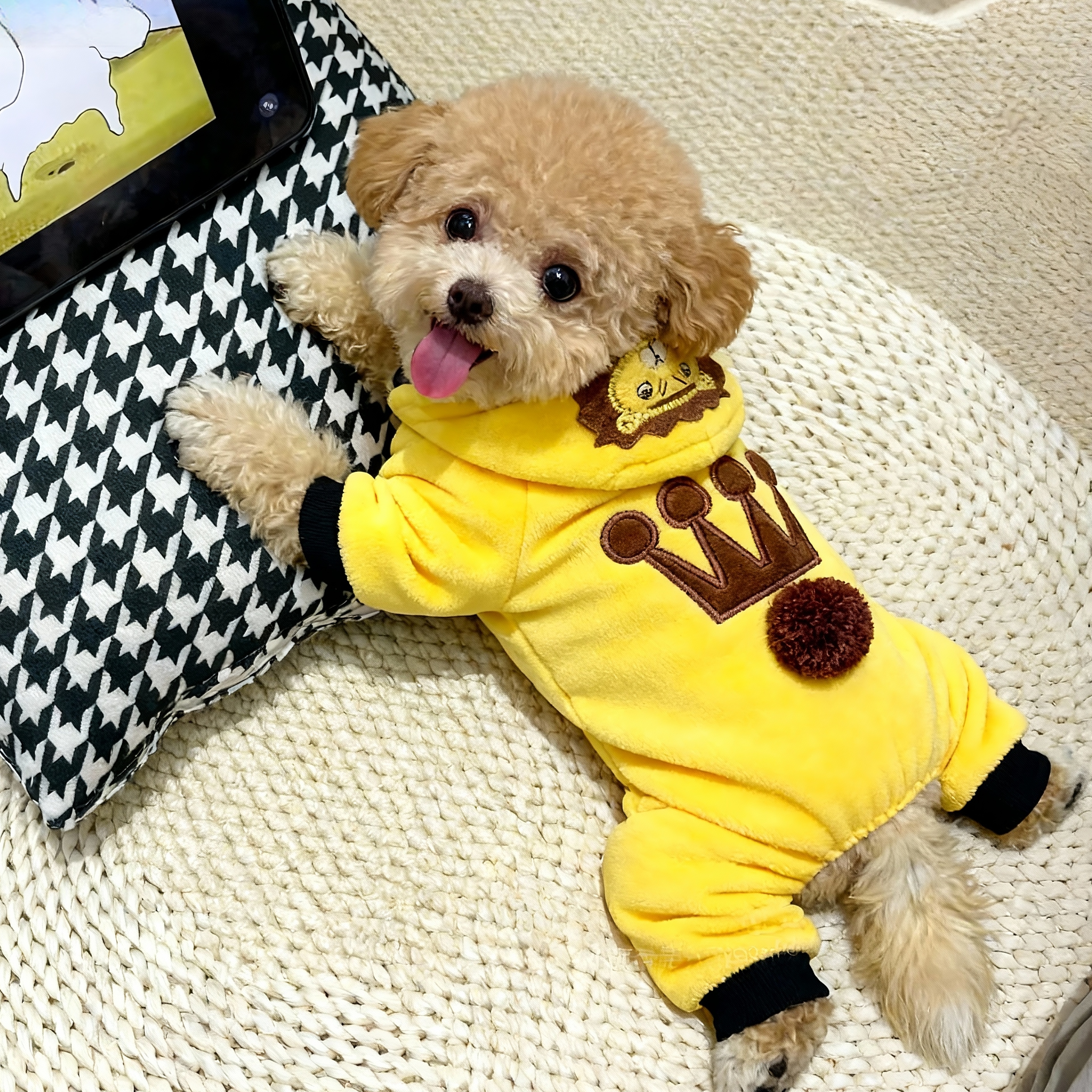 狗狗衣服秋冬皇冠狮子连帽四脚衣