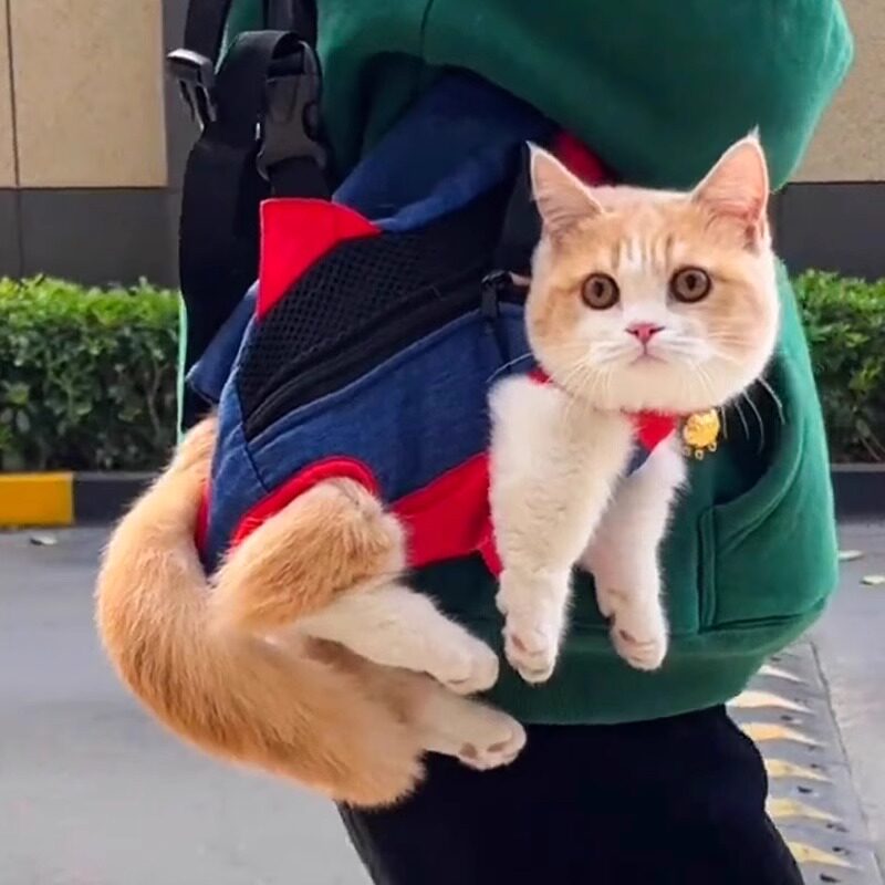 猫包外出便携双肩背包