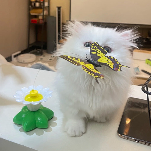 猫玩具智能电动蝴蝶小鸟逗猫棒