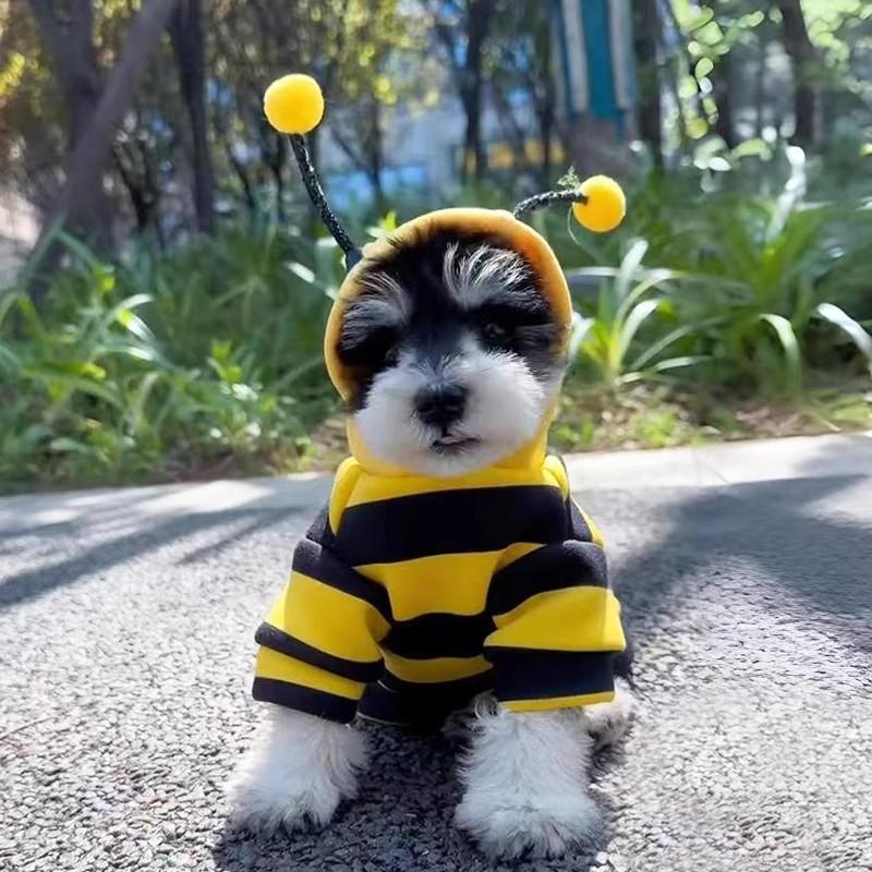 catdog小狗狗衣服蜜蜂变身拍照装