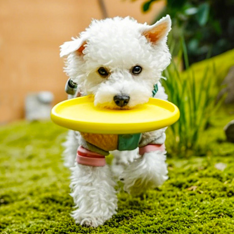狗狗玩具大型犬圆环飞盘边牧发声