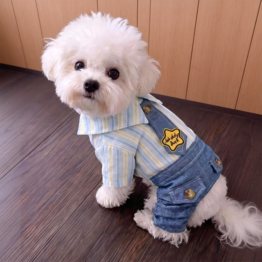 狗狗衣服夏季领带牛仔背带裤