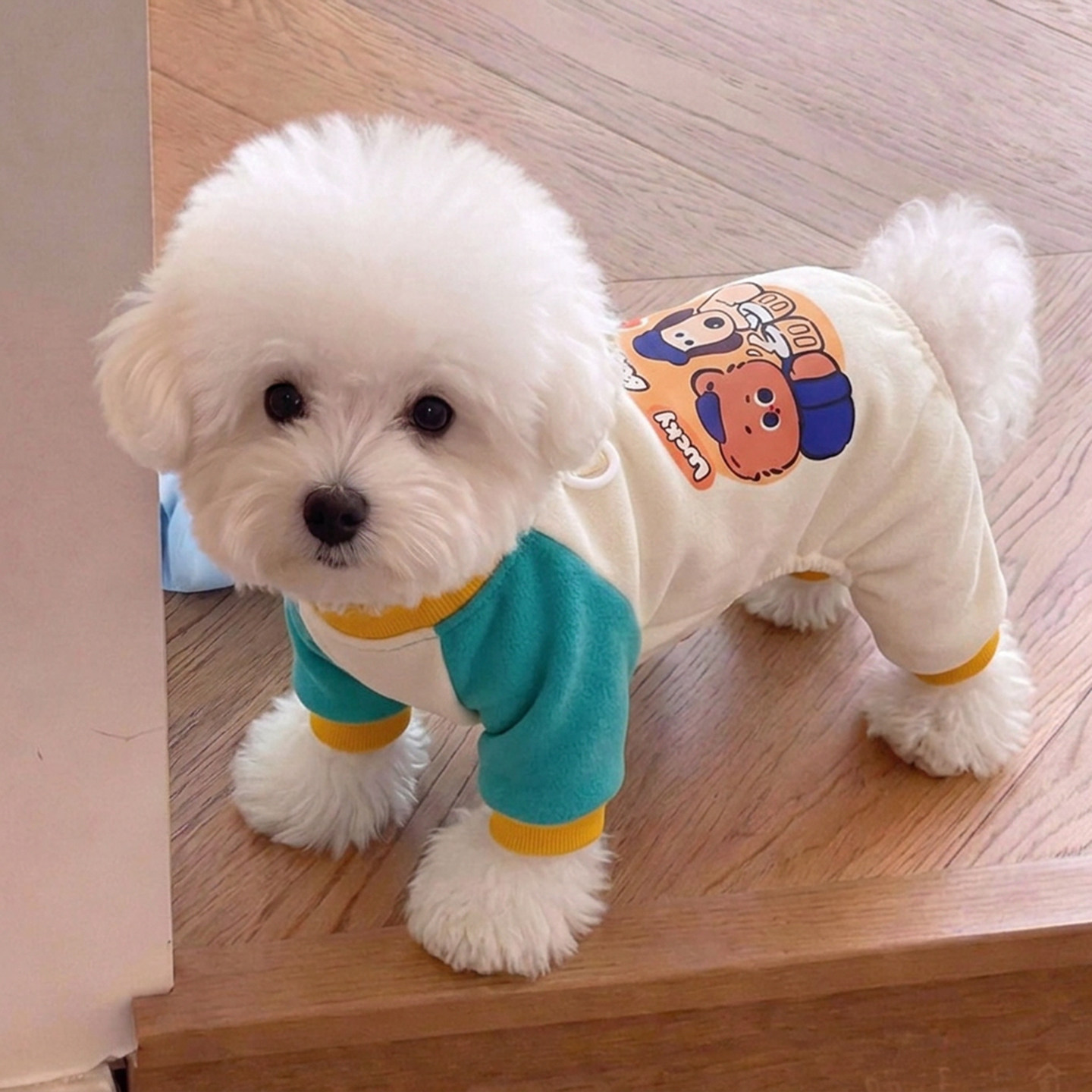 狗狗衣服秋冬保暖可牵引四脚衣泰迪比熊博美小型犬宠物猫咪防掉毛