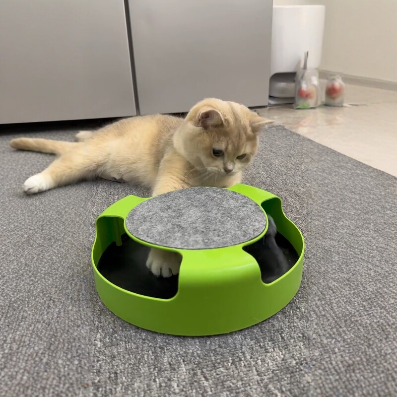 小猫咪益智玩具消耗体力捕鼠玩具塑料猫转盘逗猫棒解闷顶部猫抓板