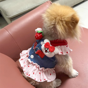 狗狗衣服牛仔卡通牵引裙春夏装可牵引胸背胸衣宠物猫咪公主裙薄款