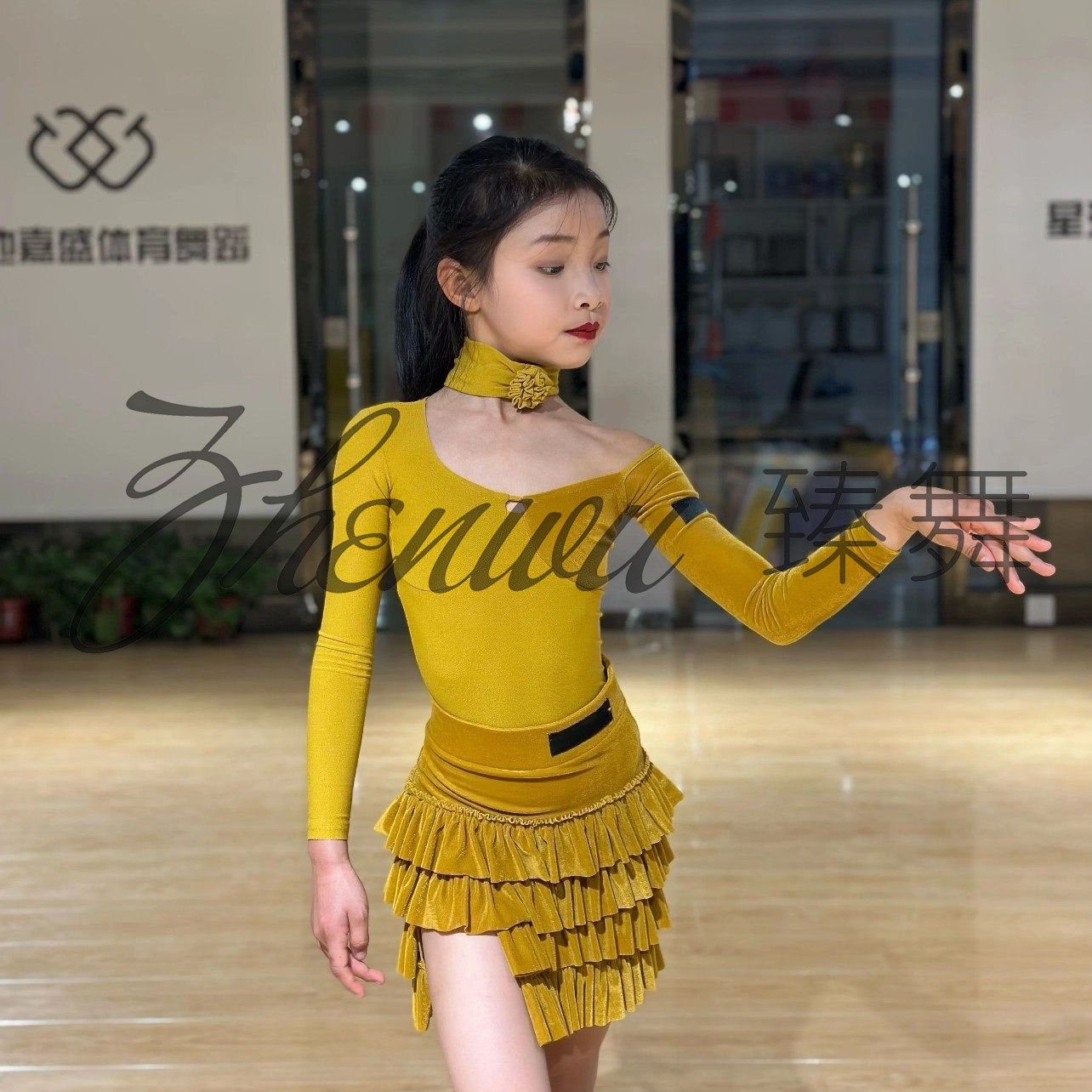 ZHENWU秋新款拉丁舞服女童演出表演服长袖上衣蛋糕裙摩登练习服