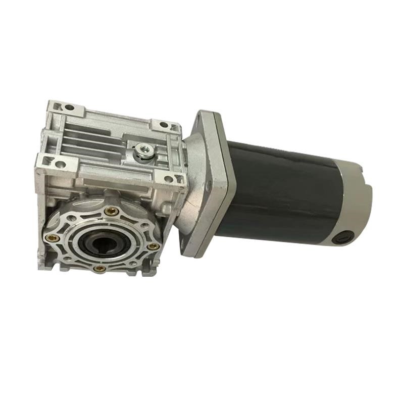 DC12v24v36v48v220v伏无级调速直流电机RV涡轮减速机双轴有刷马达