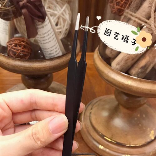 多肉镊子园艺植物专用砍头修根剪刀摘枯叶多用种植镊子园艺不锈钢