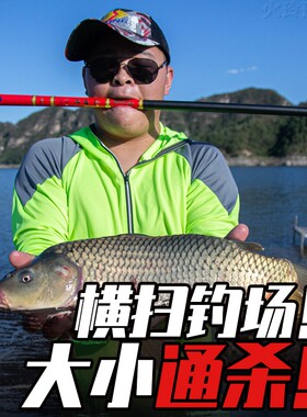 新品蝉煌6h19调台钓竿超硬轻量碳素大物鱼杆2米7罗W非鱼竿手竿黑