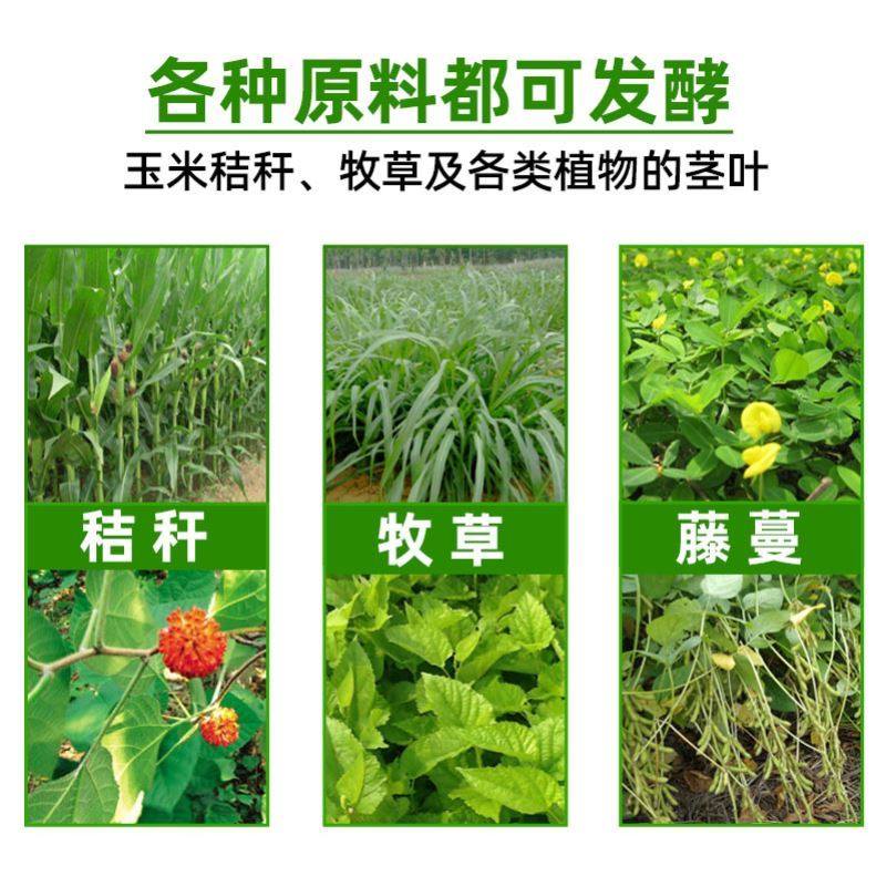 极速青储饲料发酵剂黄贮s玉米秸秆牧草发孝剂牛羊鸡鸭鹅养殖饲料