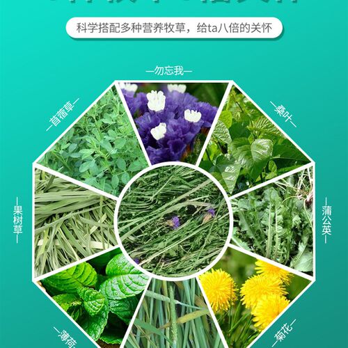 新品烘干提摩西j草混合牧草盛宴多种优质干草混合果树草燕麦草薄