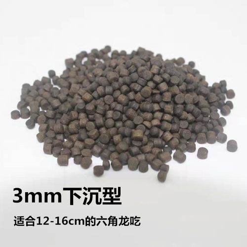 极速六角恐龙鱼粮食饲q料六角龙鱼饲料六六娃娃鱼西方蝾螈饲料鱼