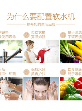 新品德国SYR汉斯希尔中央软水机全屋用大流量断电保护W延时再生CL