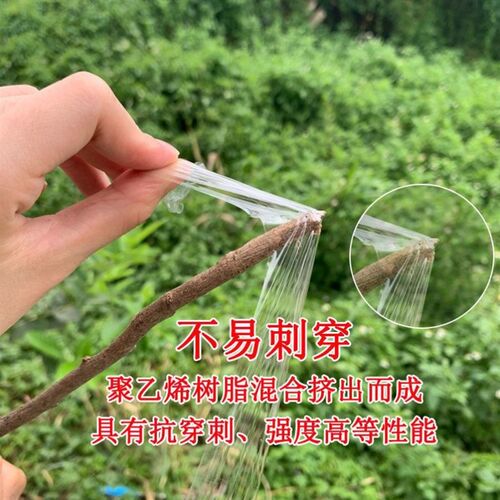 新品嫁接膜专用膜jPE果树自粘膜薄膜缠绕膜打包膜包装膜透明塑料