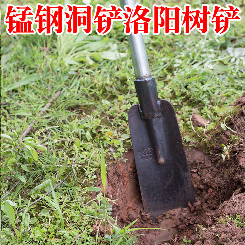 极速挖树铲锹起树铲锰钢加重厚树根锹洛阳铲M取土器打挖洞井起苗,农机/农具/农膜,移栽器/移苗器/地膜打孔器,淘宝优惠券,粉丝福利购,淘宝优惠卷