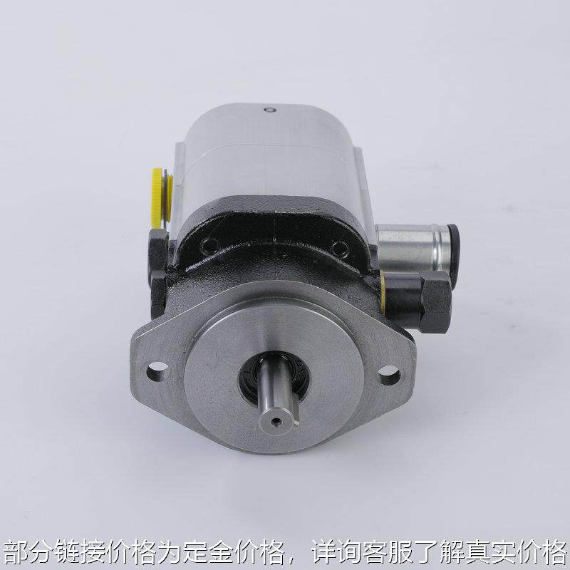 厂家供应劈木机22gpm劈木机泵劈木机劈柴机配件树根树墩劈木机泵