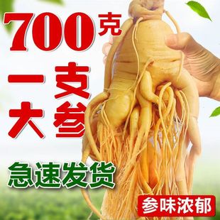 长白山整枝人参煲汤泡酒滋补养生粮食酒保鲜真空包装高品质保鲜参