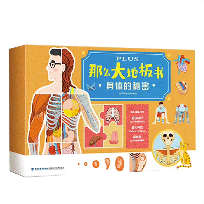 身体的秘密益智玩具礼物2-6岁幼儿童拼图玩具男女孩人体生理启蒙