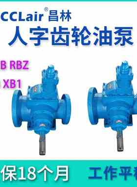 RBZ齿轮泵XB1 RCB-6.3/10/16/25/40/63/100/125/160/200/250/400/