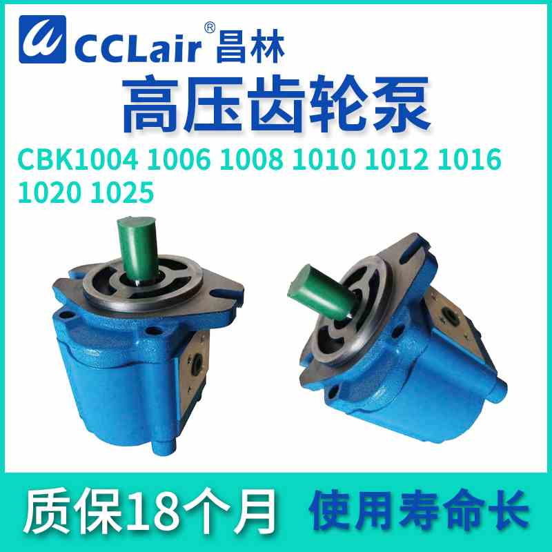 CBK1004高压1012齿轮泵1006/1008/1010/1016/1020/1025-B1FR/A1FR