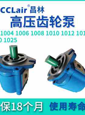 CBK1004高压1012齿轮泵1006/1008/1010/1016/1020/1025-B1FR/A1FR