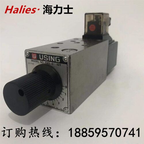 台湾峰欣USING电磁调速阀FMS-G4-03T FMS-G2-03T G6 G12 G8 A B P