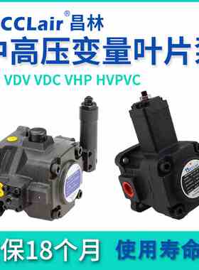 VFD1叶片泵VHP VD2 VDV VDC VE2 VK2 HVPVC HVP-F20/30/40D54/70F
